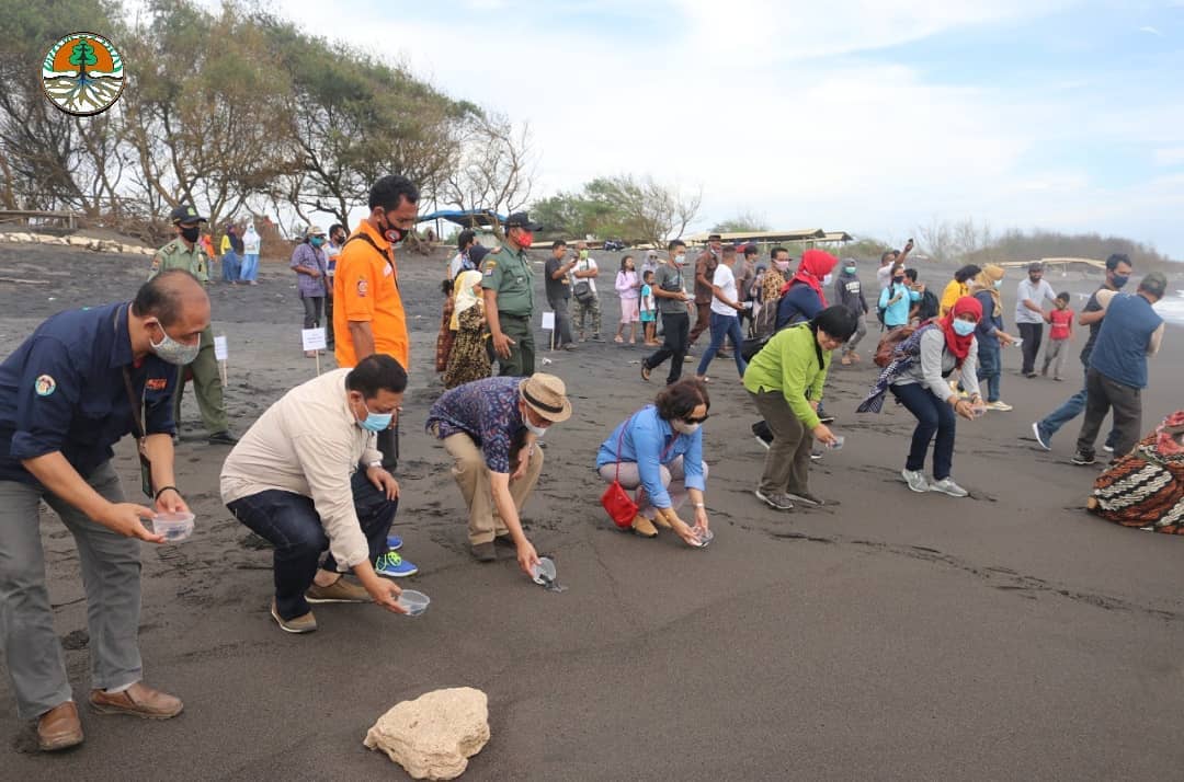Daya Tarik Pantai Trisik Daya Tarik Pantai Trisik